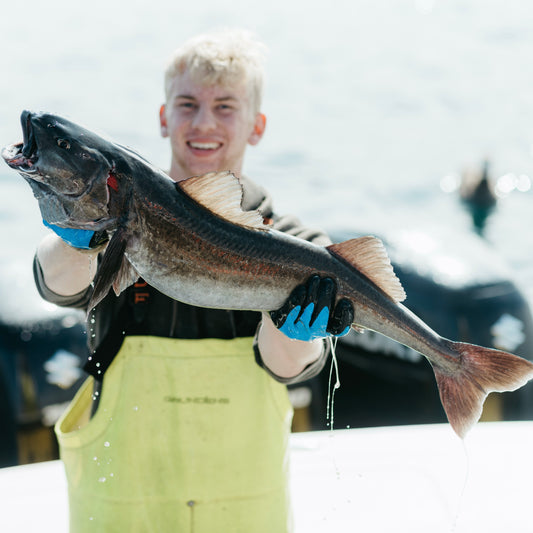 Wild PNW Sablefish (Black Cod) CSF Share