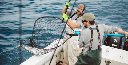Wild PNW Albacore Tuna CSF Share