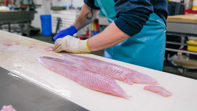 Wild PNW Lingcod CSF Share