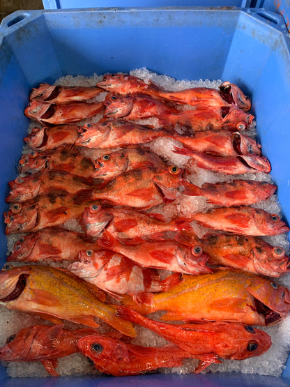 Wild PNW Rockfish CSF Share