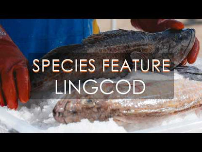 Wild PNW Lingcod CSF Share