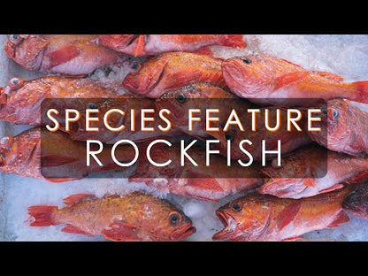 Wild PNW Rockfish CSF Share