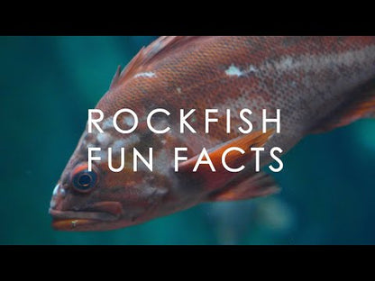 Wild PNW Rockfish CSF Share